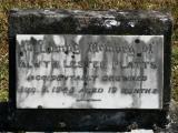 image of grave number 852256